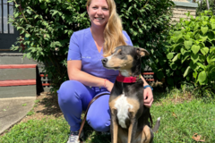 Request Quote: CodaPet - In Home Pet Euthanasia - Lexington, KY