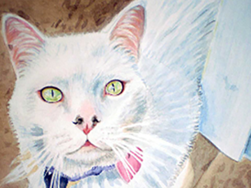 A memorial portrait of my sister-in-law's cat Auggie.