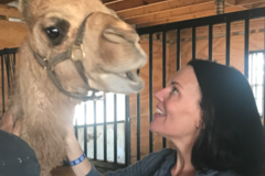 Request Quote: The Pet Behaviorist  - Nationwide