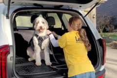 Request Quote: Leash Pet Transportation  - Omaha, NE