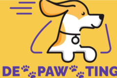 Request Quote: De-PAW-ting Pet Flight Nanny Svcs - Nationwide