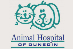 Request Quote: Animal Hospital of Dunedin - Animal Acupuncture - Dunedin, FL