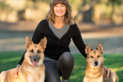 Request Quote: Pacific Pet Pro - CCPDT Certified Dog Trainer - Carlsbad, CA