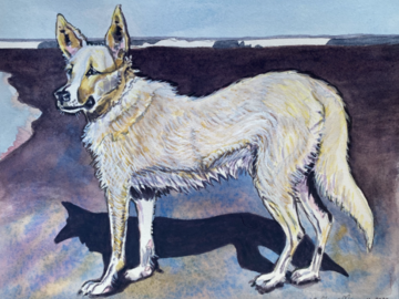 Watercolor of a dog on the beach