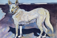 Request Quote: Pet Portraits by Leslie Allen  - Nationwide