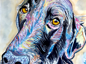 Watercolor portrait of a black Labrador