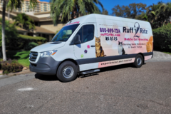 Request Quote: Ruff2Ritz Mobile Cat Grooming Service - St. Petersburg, FL