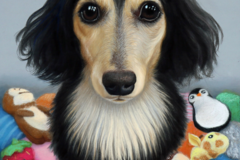 Request Quote: Heather Mitchell Fine Art Pet Portraits - Nationwide
