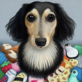 Heather Mitchell Fine Art Pet Portraits - Nationwide