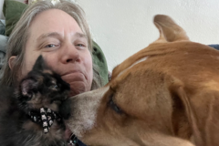 Request Quote: Laurel Wilson - Animal Communicator - Oakland, CA
