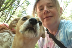 Request Quote: Divine Guardian Pet Reiki Care  - Nationwide