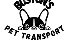 Request Quote: Boston's Pet Transport - Nationwide