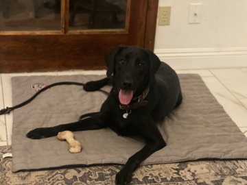 Practicing Place Command