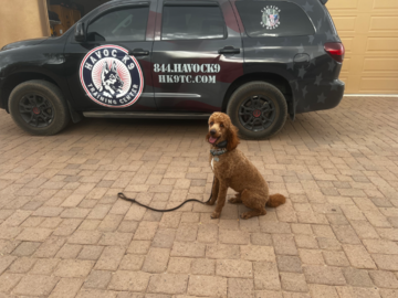 Drop leash commands