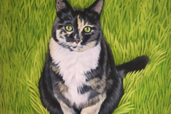 Request Quote: Margaux Rae Illustrator - Commission Pet Portraits  - Nationwide
