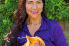 Request Quote: CodaPet - At Home Pet Euthanasia - Santa Clarita, CA