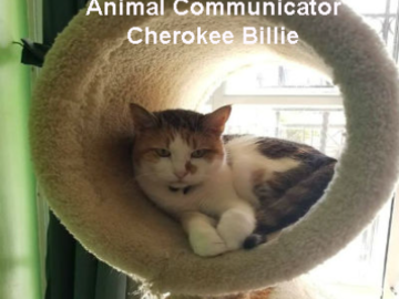 Animal Communicator Cherokee Billie