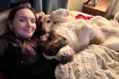 Request Quote: Make Sit Happen Dog Training - Savage, MN