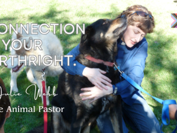 Animal Pastor Website Cover