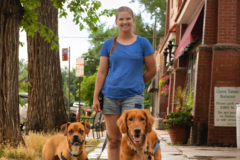 Request Quote: Get Sit Done Dogs - Certified Dog Trainer - Denver, CO
