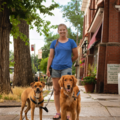 Get Sit Done Dogs - Certified Dog Trainer - Denver, CO