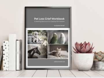 Pet Loss Grief Workbook