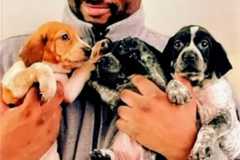Request Quote: On Our Way Pet Services And Transport  - Washington, DC