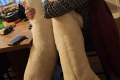 Request Quote: Sentinel Animal Transport - Nationwide