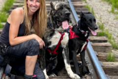 Request Quote: Howling Hound - Pet Care and Sitting Services - Greeley, CO