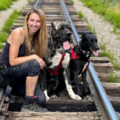 Howling Hound - Pet Care and Sitting Services - Greeley, CO