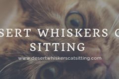 Request Quote: Desert Whiskers Cat Sitting - Daily Visits - Buckeye, AZ