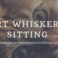 Desert Whiskers Cat Sitting - Daily Visits - Buckeye, AZ