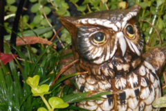 Request Quote: Aunt Dory's Pet Sitting - Severna Park, MD
