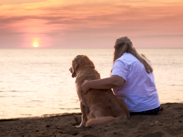 dog mom and dog at sunset on the beach