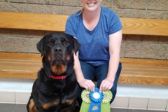Request Quote: Dynamite Dogs - In Home Private Training - Temecula, CA