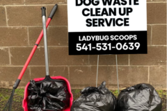 Request Quote: Ladybug Scoops - Dog Waste Cleanup Services - Medford, OR