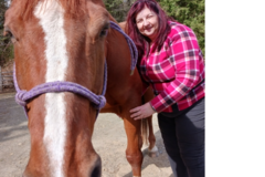 Request Quote: Healing 4 ALL - Licensed Animal Massage Therapist - Mill Creek, WA