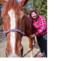 Healing 4 ALL - Licensed Animal Massage Therapist - Mill Creek, WA