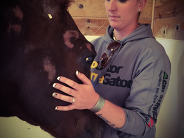 Equine Reiki Session