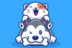 Request Quote: Paws to Heart Transportation - Pet Transport Service - Nationwide