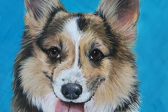 Request Quote: Custom Pet Portrait - Santa Cruz, CA - Nationwide