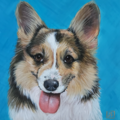 Janice Serilla - Custom Pet Portraits - Nationwide