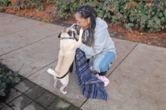 Request Quote: Chosen2Transport - Pet Transportation - Nationwide