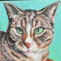 THE BEST Custom Painted Pet Portraits  - Nationwide