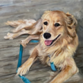 The Other Family Member - Pet Portrait Artist - Nationwide