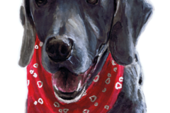 Request Quote: Jenna Jenks - Pet Portrait Artist - Nationwide