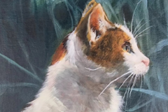Request Quote:  Pet Portrait (oil paintings) - Nationwide