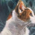  Pet Portrait (oil paintings) - Nationwide