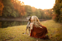 Request Quote: Professional Dog Photographer | Charlotte, Nc - Charlotte, NC