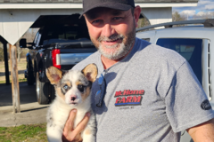 Request Quote: Pet Nav Transport - Safe and Attentive Pet Transportation - Nationwide